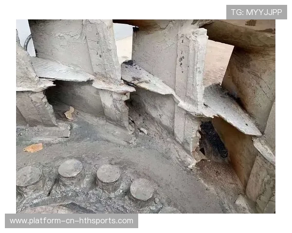 赛恩斯训练中的一致性引工程师称赞