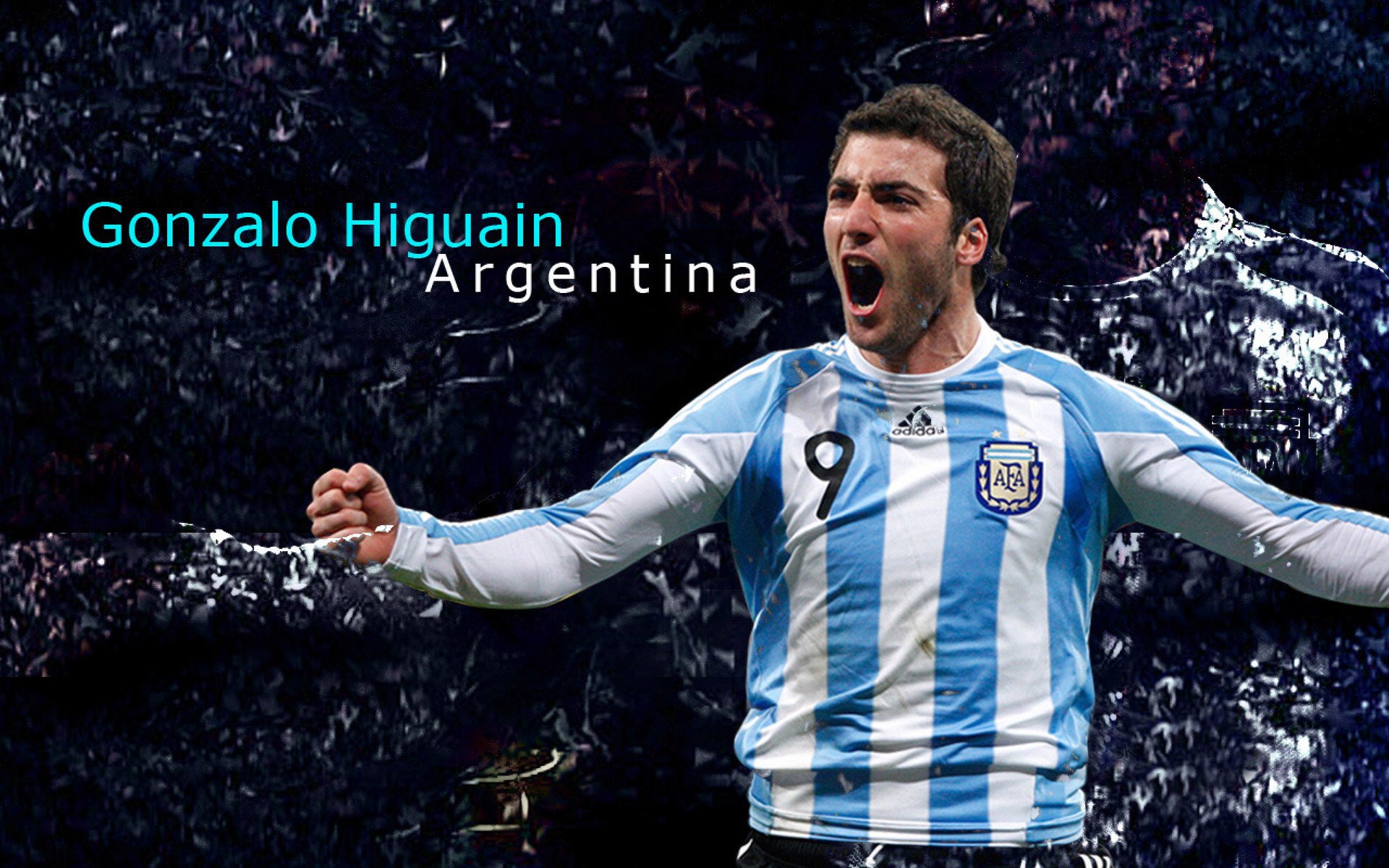 世界杯“最受欢迎球队”民意调查结果公布 小国爆冷登顶